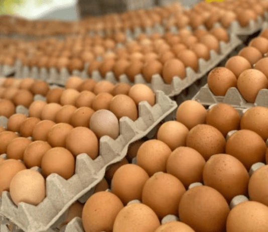 Los cinco alimentos cuyos precios se triplicaron en lo que va del año
