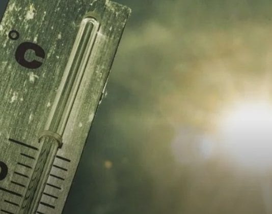 CLIMA. El pronóstico para este viernes: El calor dice presente para cerrar la semana corta