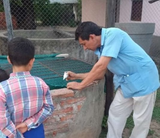 Las lluvias favorecen la proliferación del mosquito transmisor del dengue