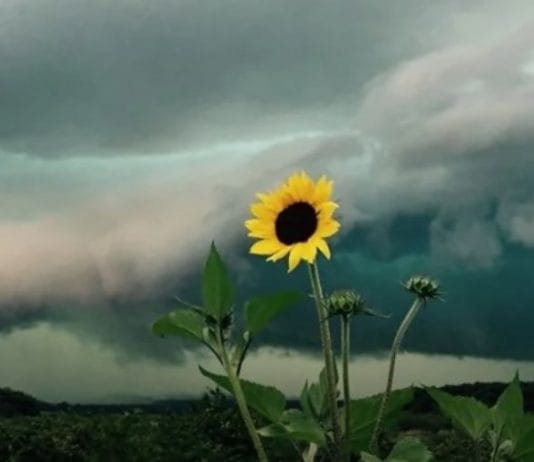 CLIMA. El pronóstico para este miércoles: Avance de frente frío con tormentas para varias regiones