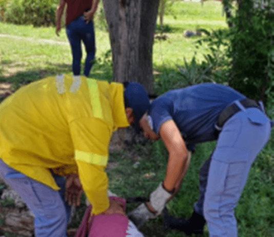 LAGUNA BLANCA: La Policía rescató a un perro atrapado en una alcantarilla