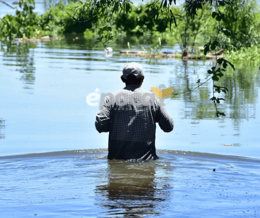 Más de mil evacuados en Corrientes por la creciente de los ríos Paraná y Uruguay