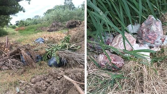 LAGUNA NAINECK: No hay conciencia. Advierten sobre el crecimiento de un vertedero de basuras a metros del riacho El Porteño.