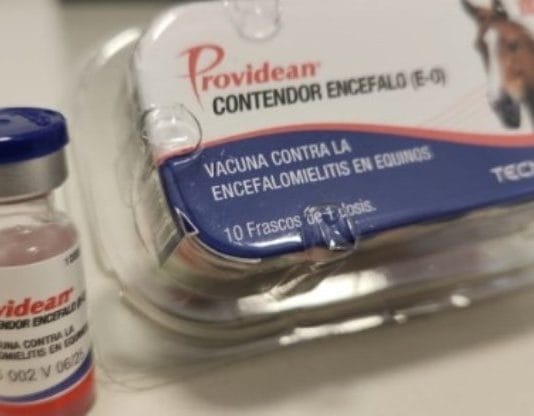 Senasa aprobó el primer lote de vacunas contra la encefalomielitis equina y se espera que esté disponible en las próximas horas