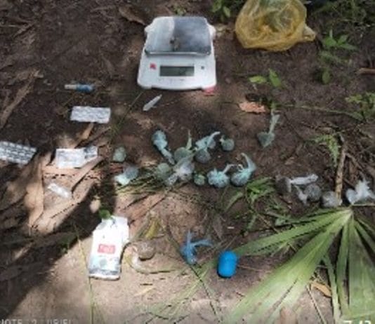 LA PRIMAVERA: Detuvieron a tres hombres involucrados en una causa por robo y por infracción de la ley de estupefacientes.