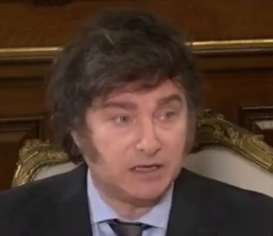 Javier Milei dijo que si el Congreso rechaza el DNU llamaría a un plebiscito