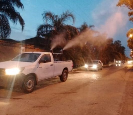Ante la suba de casos de dengue, piden tomar las medidas de cuidado