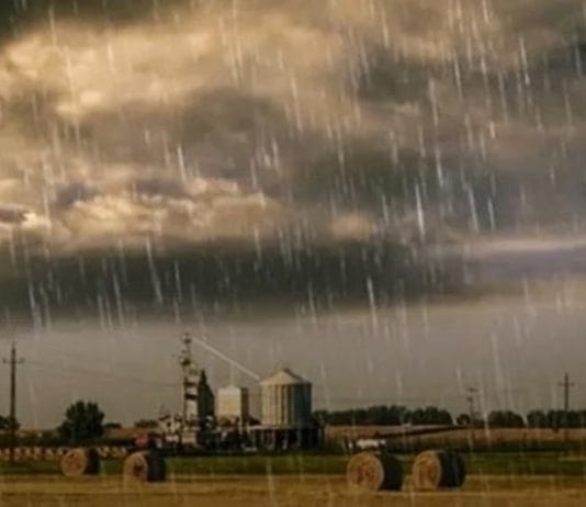 CLIMA. El pronóstico para este miércoles: Viento sur y evolución de chaparrones