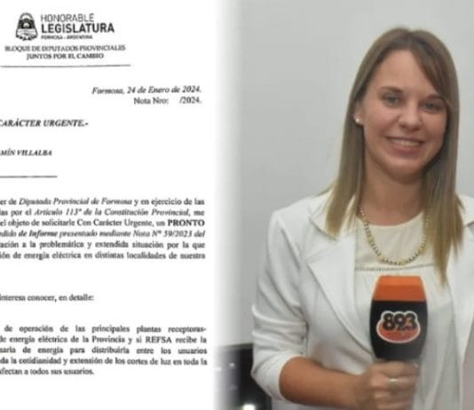 Carla Zaiser interpeló a Refsa por la mala calidad del servicio eléctrico y los aumentos injusticados en las tarifas