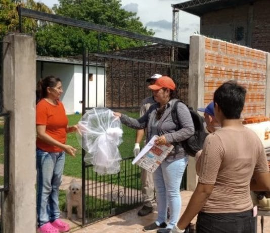 Por el aumento de casos positivos de dengue, insisten en la prevención como método para combatir la enfermedad