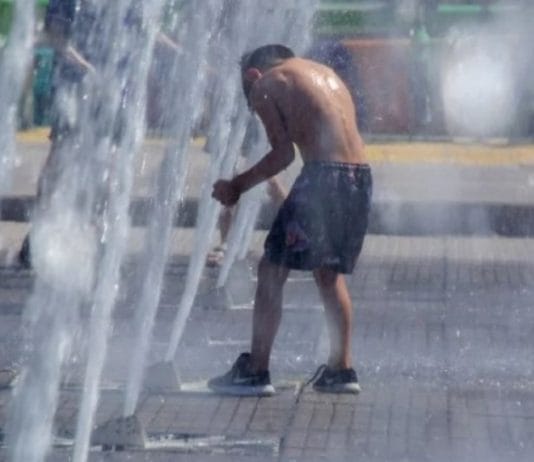 Ola de calor: el pronóstico que asegura que el 2024 será un año récord en altas temperaturas