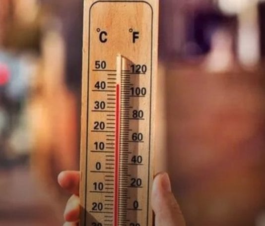 CLIMA. El pronóstico para este miércoles: La ola de calor en su apogeo, posibles récords de temperatura