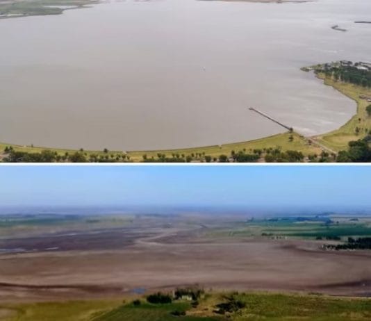 “Luz de alarma encendida”: preocupación en el campo por una laguna que se secó por completo