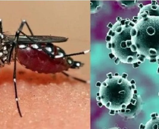 SIN FRENO: Paraguay decretó alerta sanitaria ante la circulación combinada de dengue y Covid-19