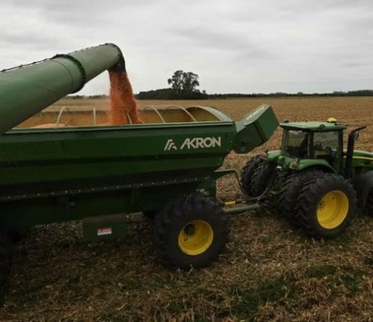 Según un experto: el agro podría invertir la impactante cifra de casi US$60.000 millones