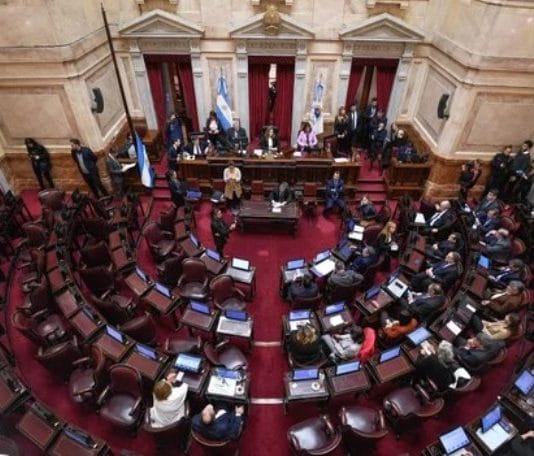 La Ley Ómnibus comienza a tratarse en el Congreso y se espera un clima de tensión