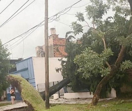 Fuerte temporal provocó la muerte de niño, caída de árboles, postes y voladura de techos