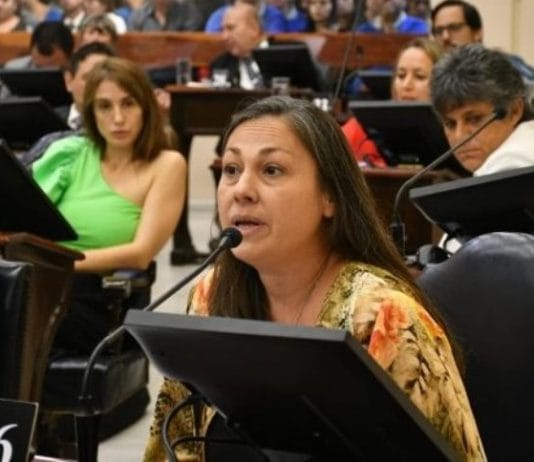 La diputada Ana Costa advirtió por despidos de personal en las áreas de salud y educación