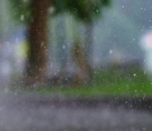 CLIMA: El pronóstico del tiempo para este lunes 15 de enero