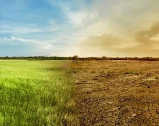 FEÓMENO EL NIÑO: Aseguran que traerá más lluvias e inundaciones entre febrero y abril