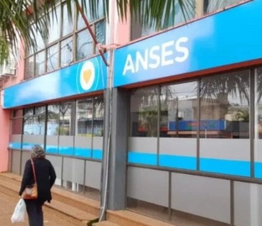 ANSES: calendario de pagos de febrero