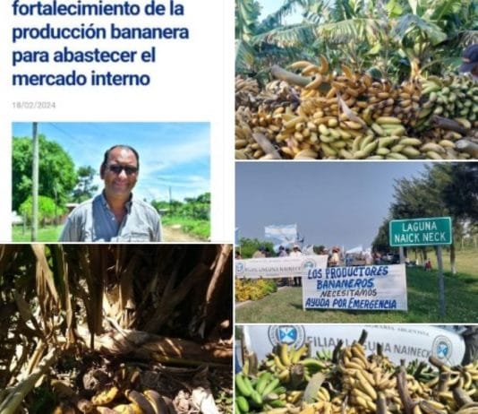 LAGUNA NAINECK: Pánfilo Ayala le contestó a Yuyi Murdoch. “Es parte, de los que están haciendo desaparecer día a día esta noble producción.