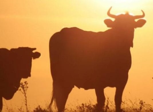 Se viene el calor y después el frío ?