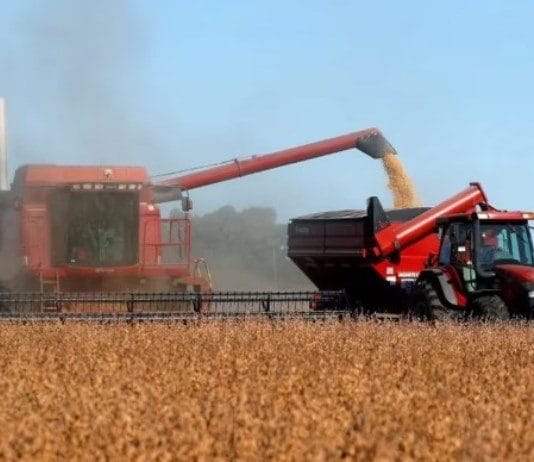 Finalmente no habrá una “súper cosecha” y entrarán menos dólares de lo esperado