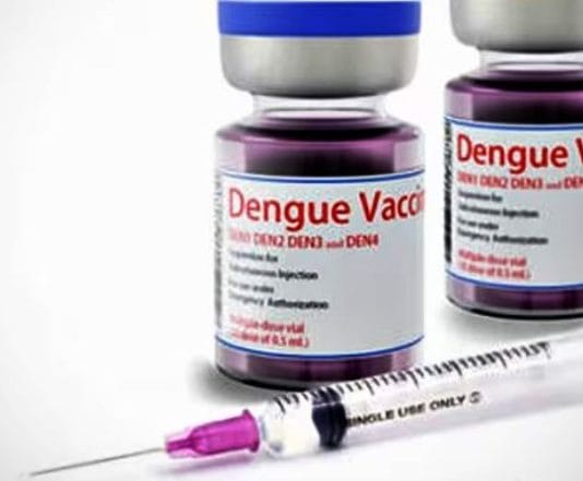 Combatir el dengue. Quiénes deben vacunarse, cuánto hay que esperar y otras preguntas clave respondidas por infectólogos