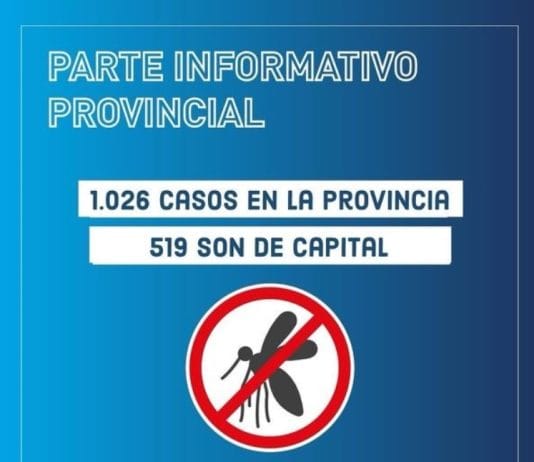 DENGUE: En la semana se detectaron 1.026 casos positivos en la provincia. En capital se registraron 519 personas afectadas.