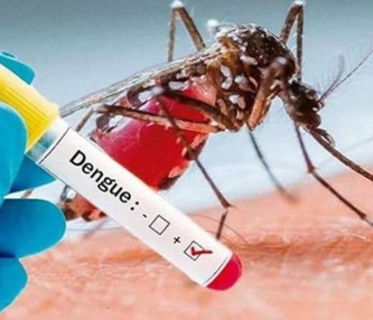 Formosa registró 697 casos positivos de dengue en la última semana