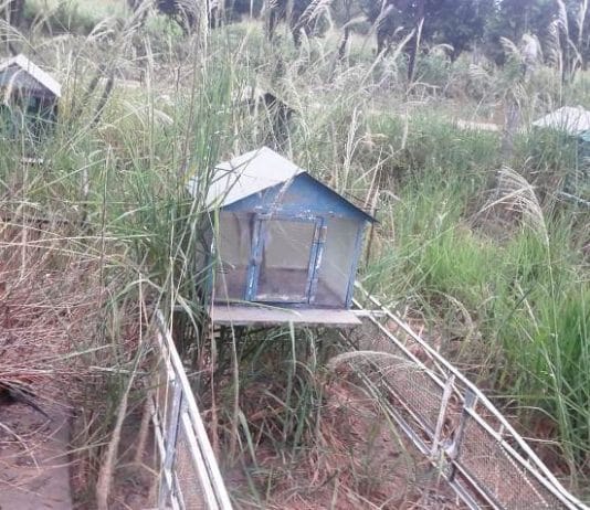 LAGUNA NAINECK. De nuestros lectores: «Así está de sucio nuestro cementerio».