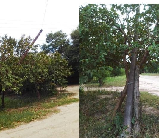 LAGUNA NAINECK: En Punta Guía esperan respuesta de REFSA