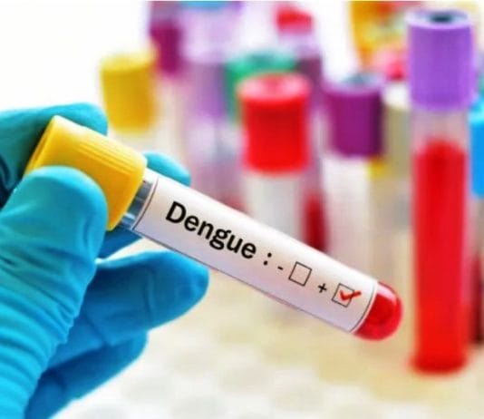 DENGUE: Otra semana de casos positivos en descenso