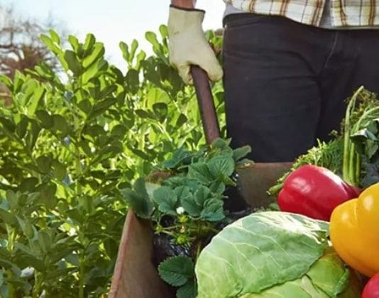 El Gobierno disuelve Agricultura Familiar, una caja ligada al Movimiento Evita con manejo sospechoso de fondos