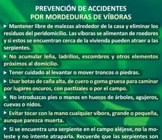 MINISTERIO DE DESARROLLO HUMANO: Activan campaña de prevención de accidentes por mordedura de víboras.