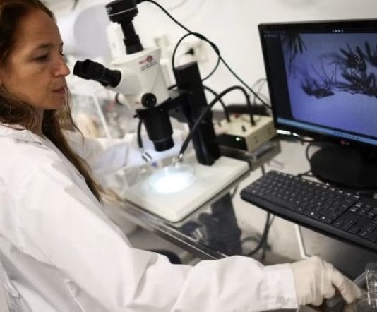 BROTE HISTORICO DE DENGUE: Hay 96 muertos, 134.202 casos y 17 provincias en alerta sanitaria