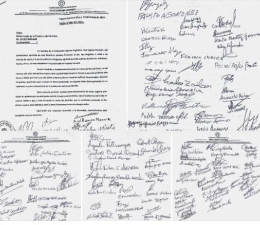 LAGUNA NAINECK: Solicitan declaración de emergencia agricola.