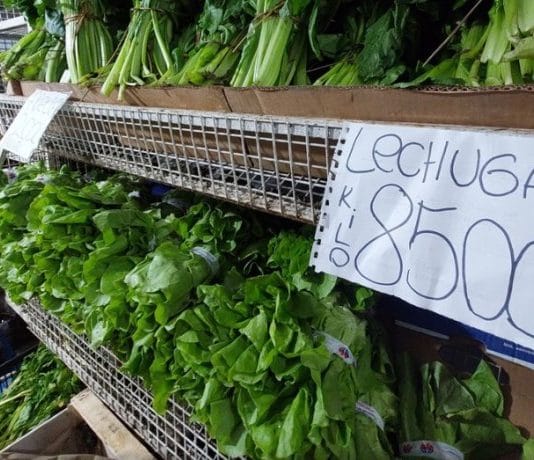 Por qué la lechuga está tan cara como el asado y cuándo va a bajar el precio