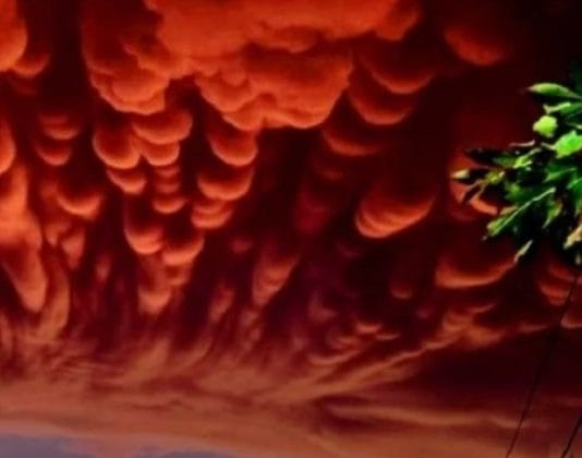CLIMA: El pronóstico del tiempo para este viernes en el país