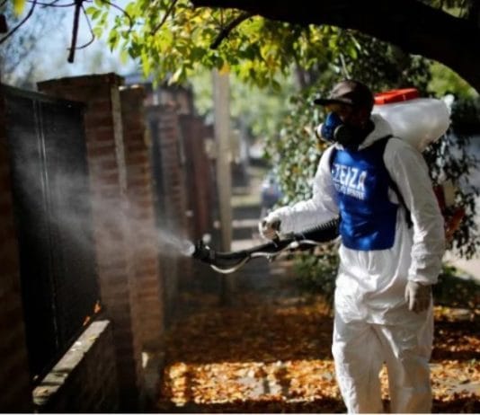 El dengue bate récords de casos y muertes en el país: los especialistas dicen que el pico todavía no llegó