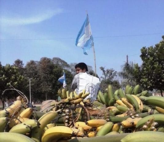 LAGUNA NAINECK: «Ayuda urgente»: 350 productores sufren una catástrofe productiva