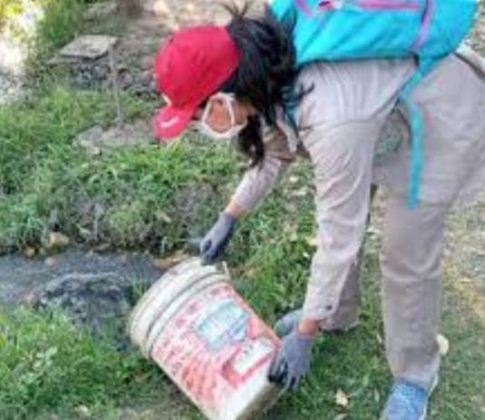 Solicitan intensificar las medidas de prevención del dengue luego de los continuos días de lluvia