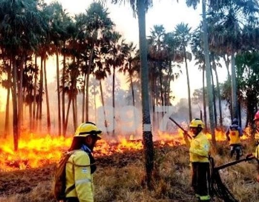GRAL. BELGRANO: La Policía trabaja para extinguir incendios de pastizal que afecta a varios campos