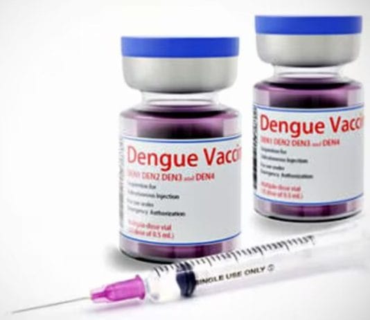DENGUE: Por qué no se recomienda la vacuna para las personas mayores de 60 años