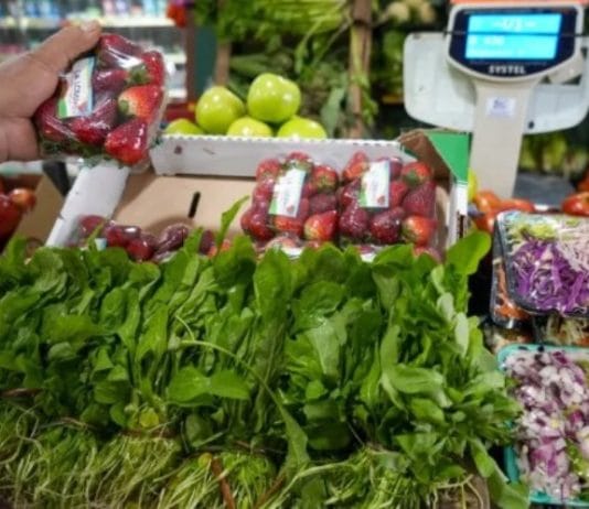 ECONOMIA: Una familia necesitó más de $828 mil para no ser pobre