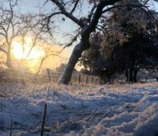 CLIMA. El pronóstico para este miércoles: El aire polar sigue instalado en el centro del país