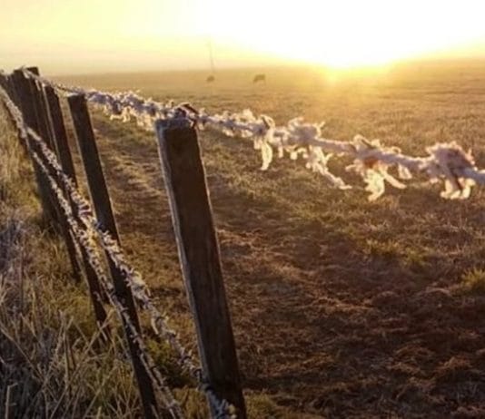 CLIMA. El pronóstico para este jueves en el país: Sigue entrando aire frío y se esperan heladas