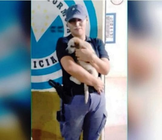 BUENA VISTA: Detuvieron a un hombre que maltrataba a un perrito y luego amenazó a vecino que quiso intervenir