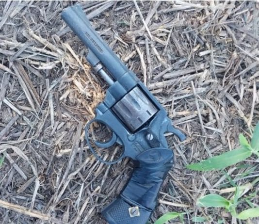 LAGUNA BLANCA: Detuvieron a un hombre quien poseía un arma de fuego.